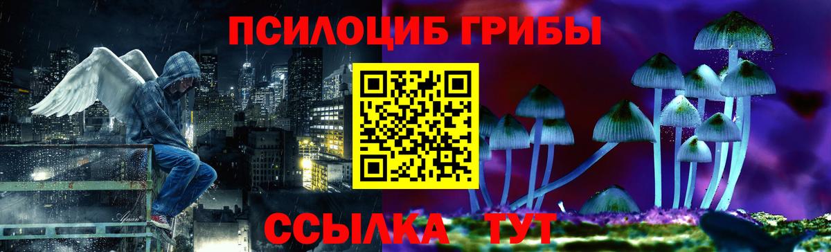 купить наркотики сайты  Псилоцибиновые грибы мицелий  Вход с VPN  Псилоцибиновые грибы мицелий  Нововоронеж 